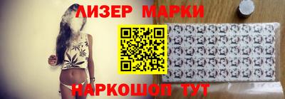 шишки Можга